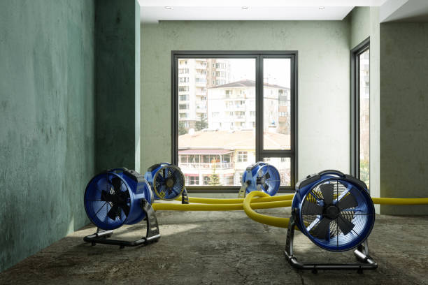  Heceta Beach, OR Water damage restoration Pros